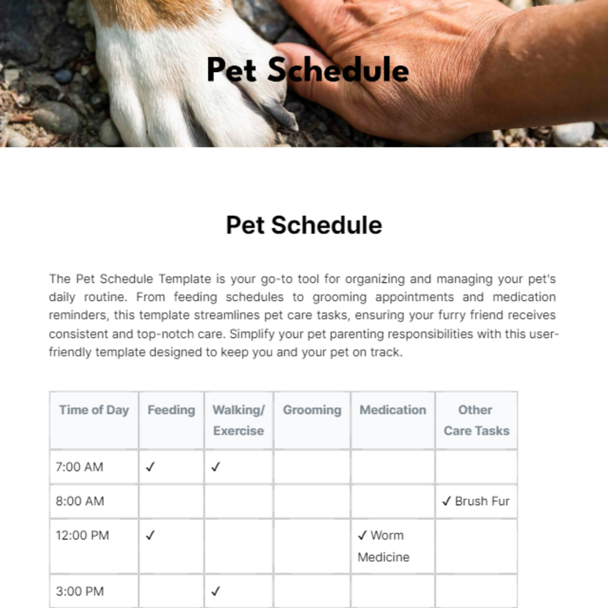 Pet Schedule Template