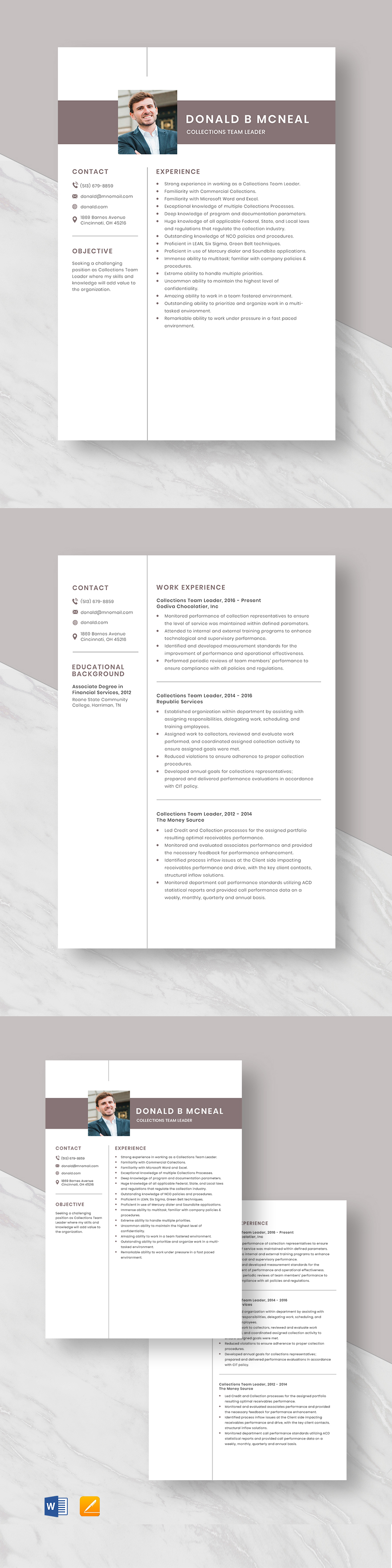 free-collections-team-leader-resume-template-word-apple-pages