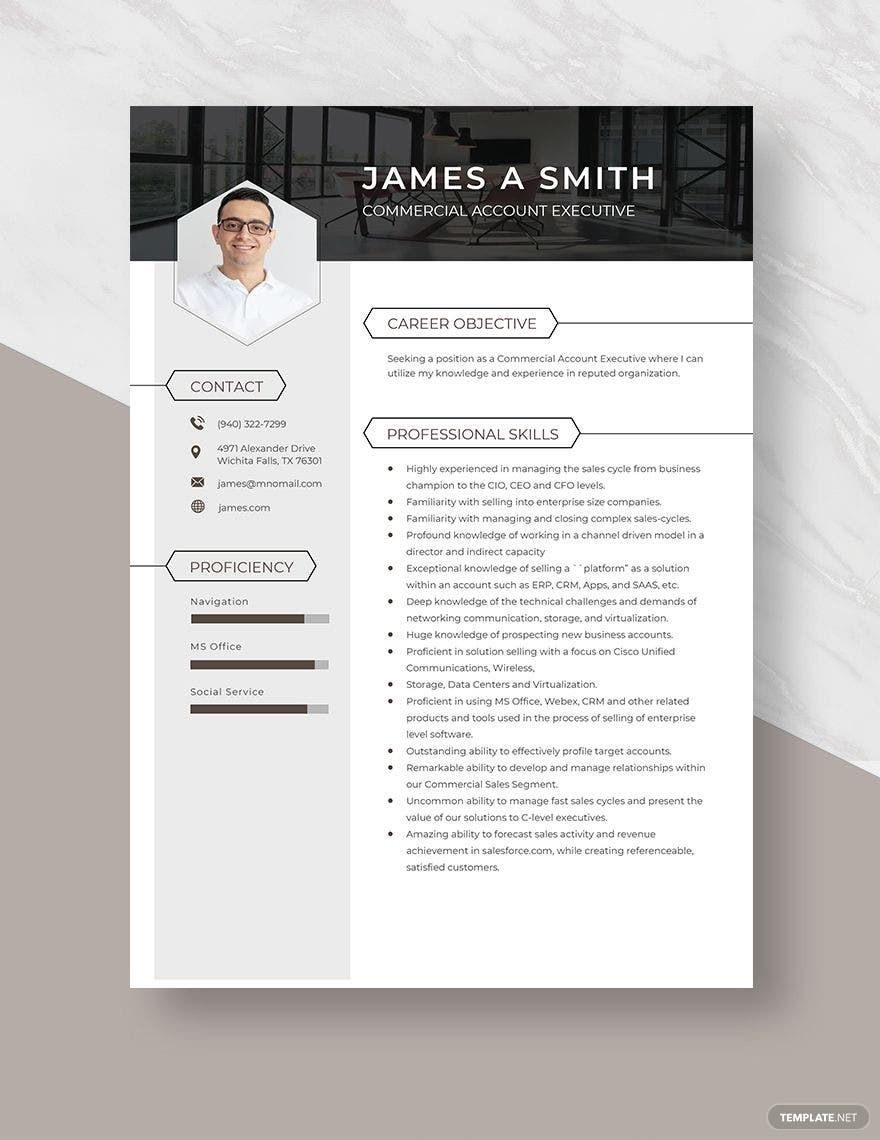 Commercial Account Executive Resume