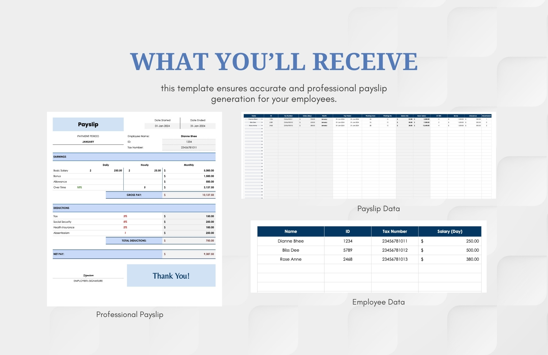 Professional Payslip Template