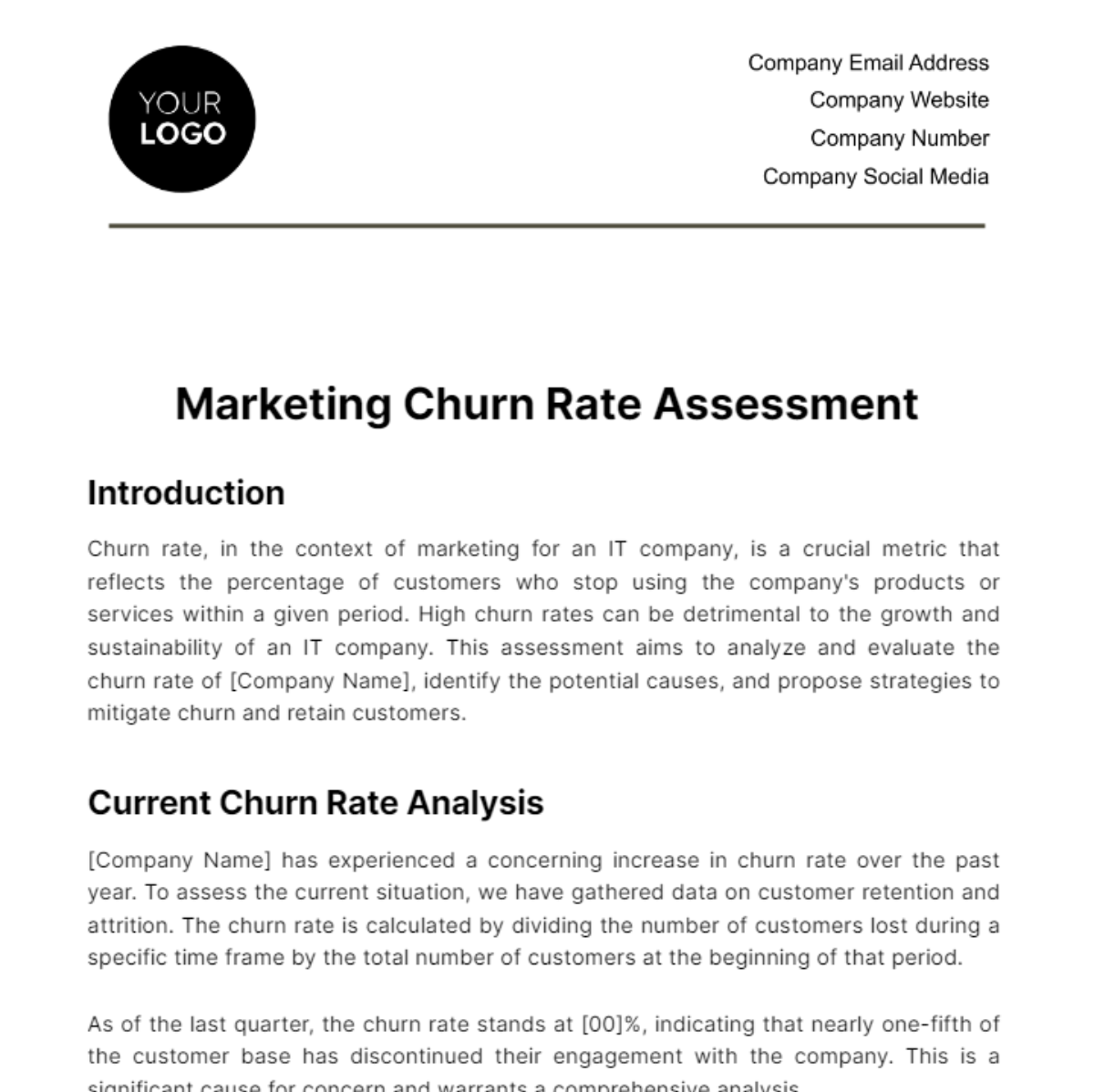 Marketing Churn Rate Assessment Template