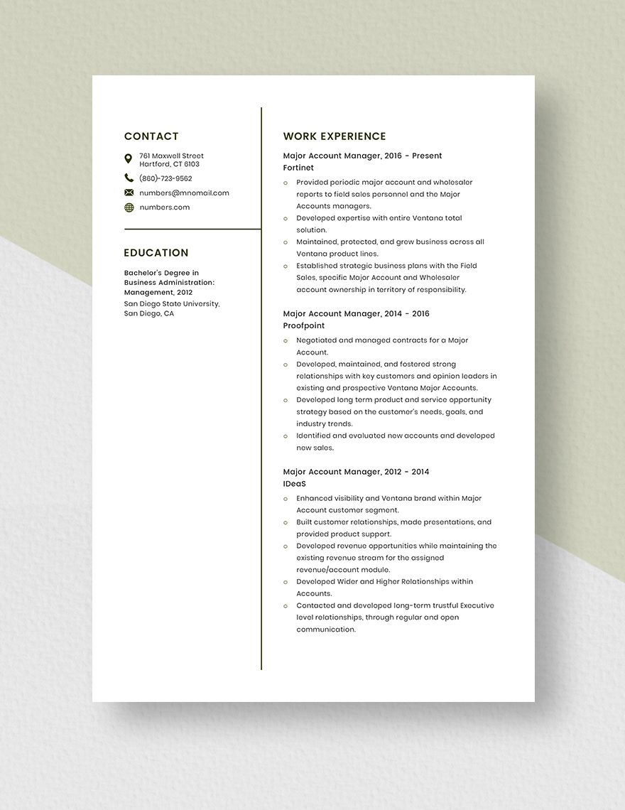 Major Account Manager Resume