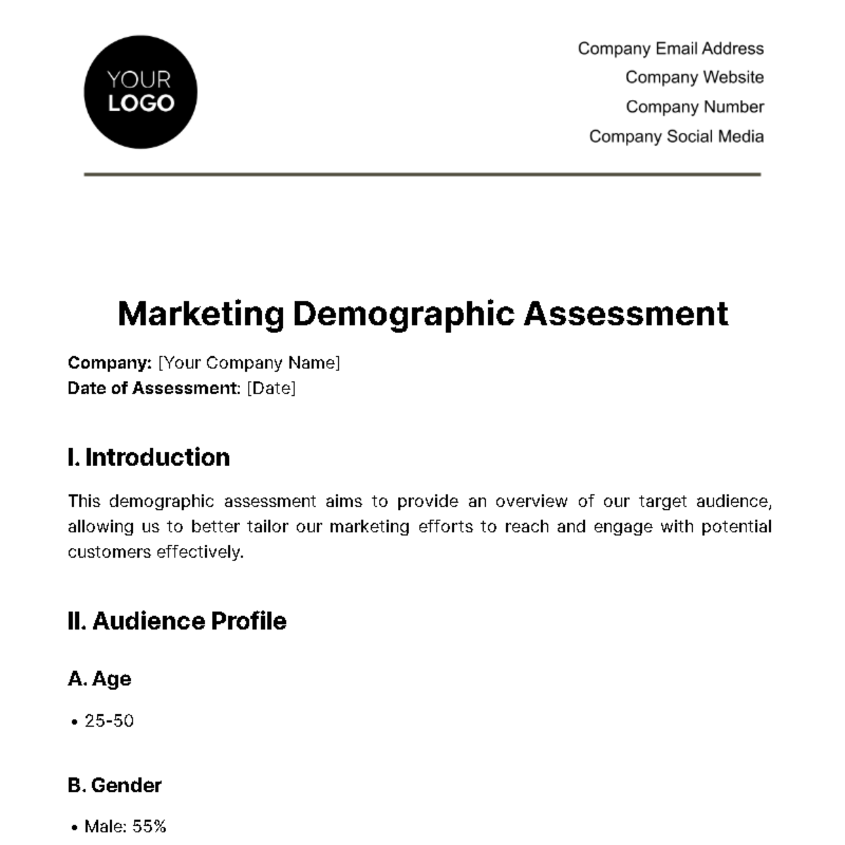 Marketing Demographic Assessment Template