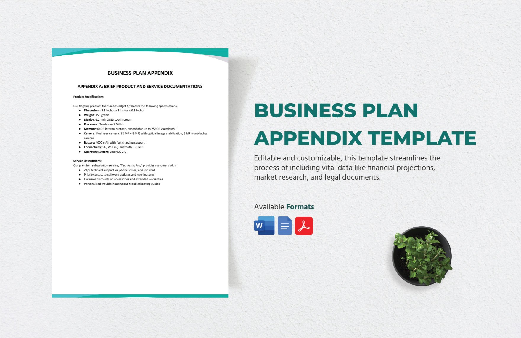 Business Plan Appendix Template