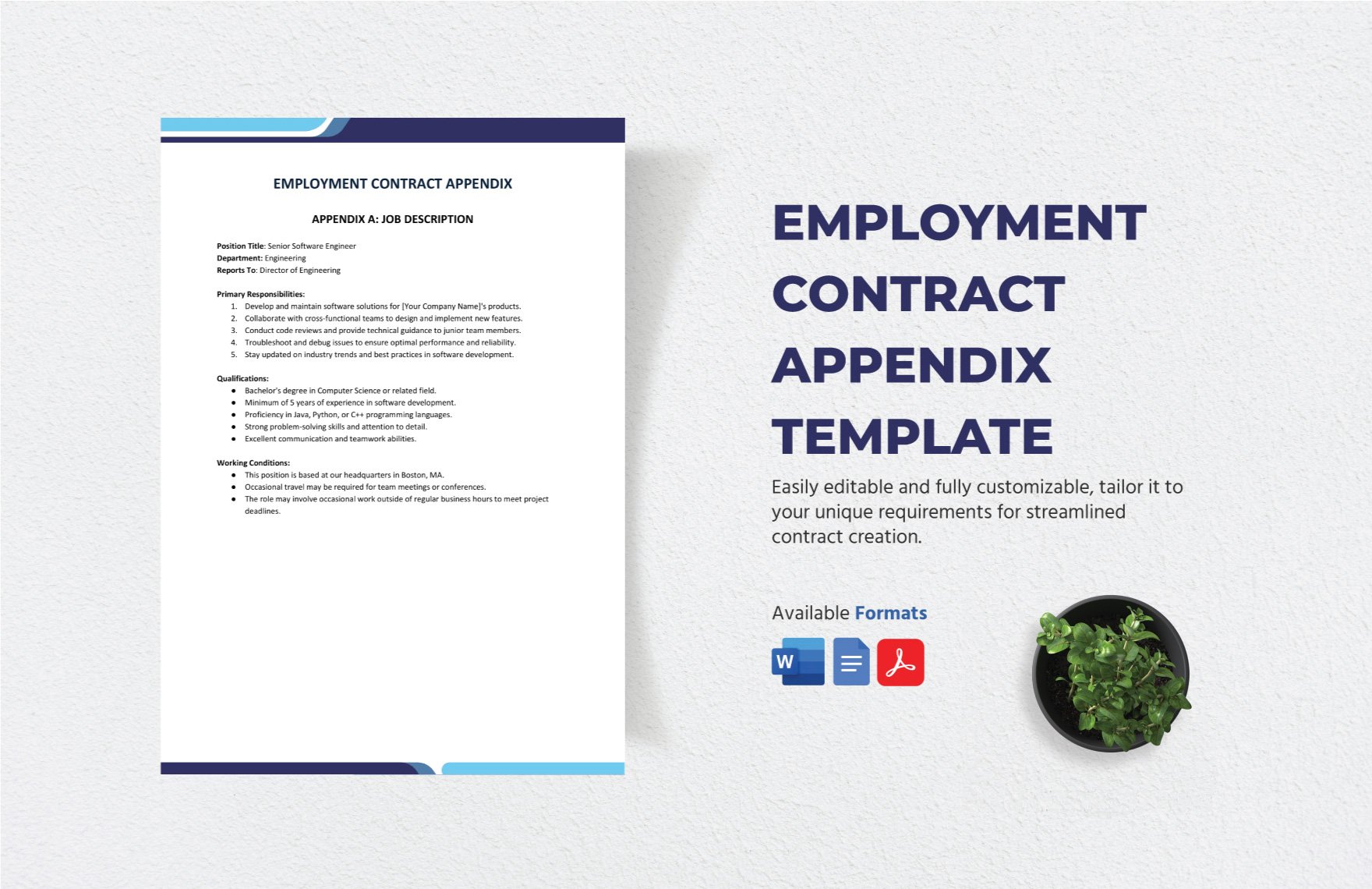 Employment Contract Appendix Template