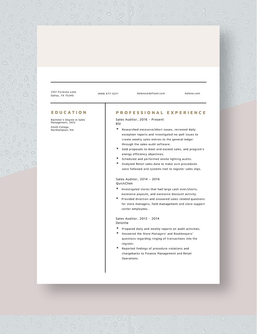 Sales Auditor Resume Template