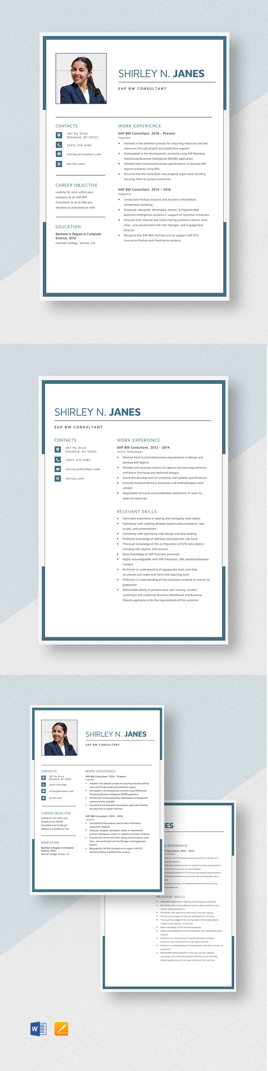 sap-bw-consultant-resume-template-word-apple-pages-template