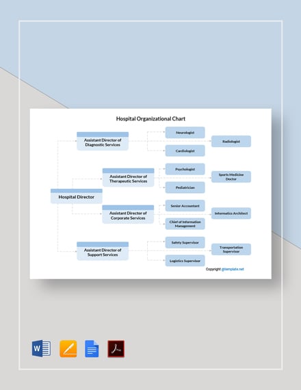Simple Hospital Organizational Chart