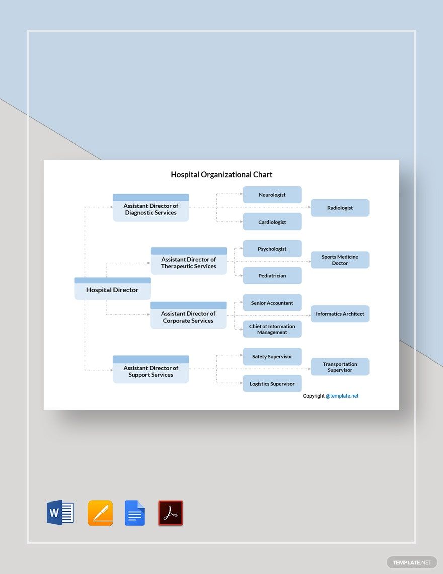Simple Hospital Organizational Chart Template