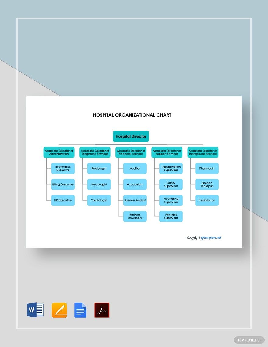 Blank Hospital Organizational Chart Template