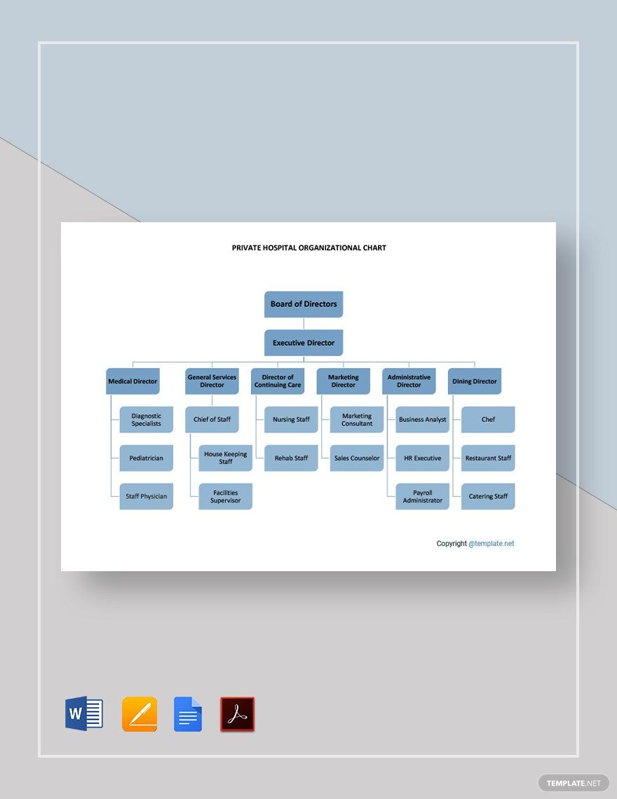 Private Hospital Organizational Chart Template