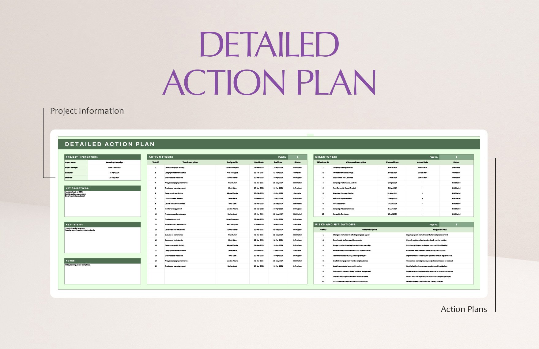 Detailed Action Plan Template