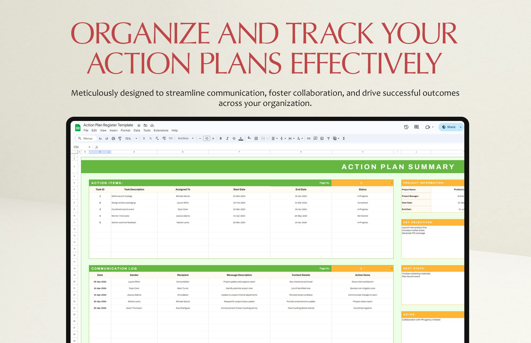 Action Plan Register Template