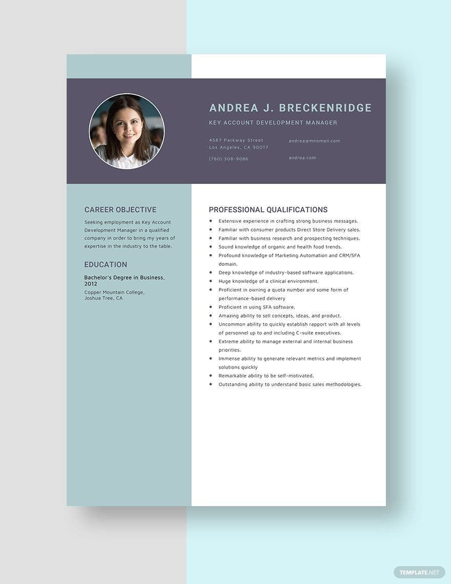Key Account Development Manager Resume Template
