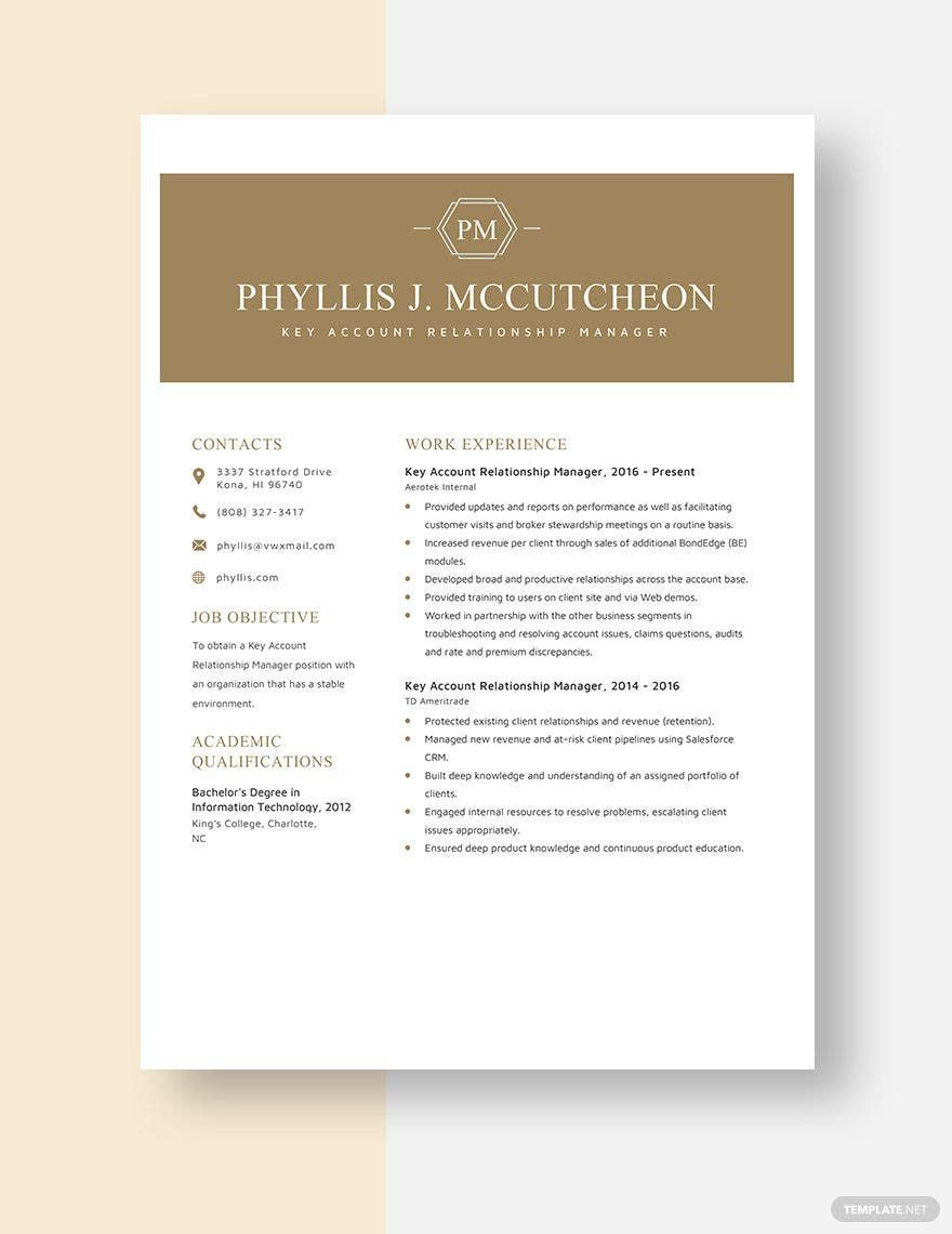 Free Key Account Relationship Manager Resume Template