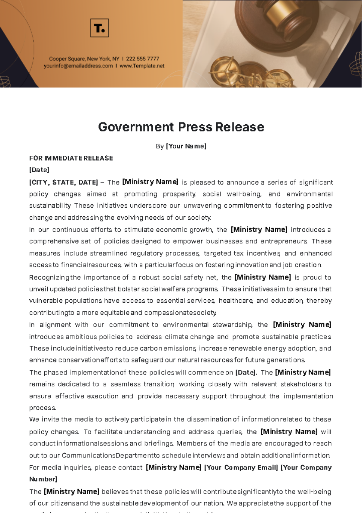 Government Press Release Template