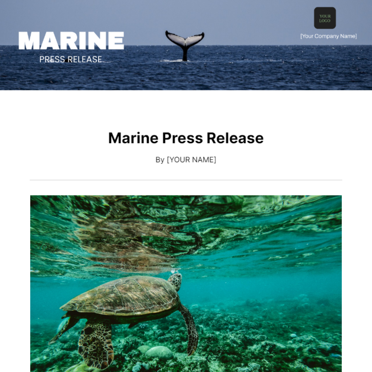 Marine Press Release Template