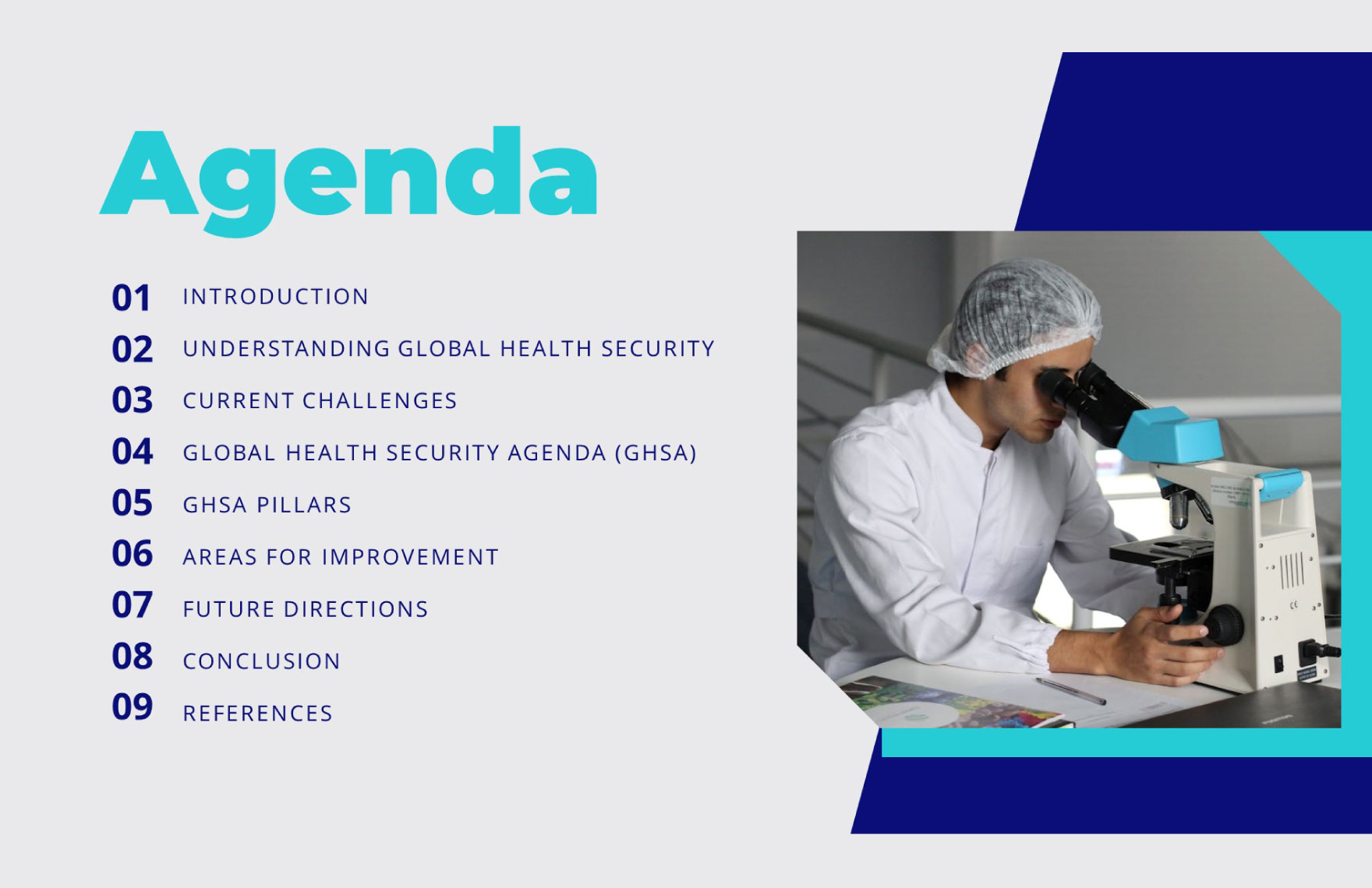 Global Health Security Agenda Template