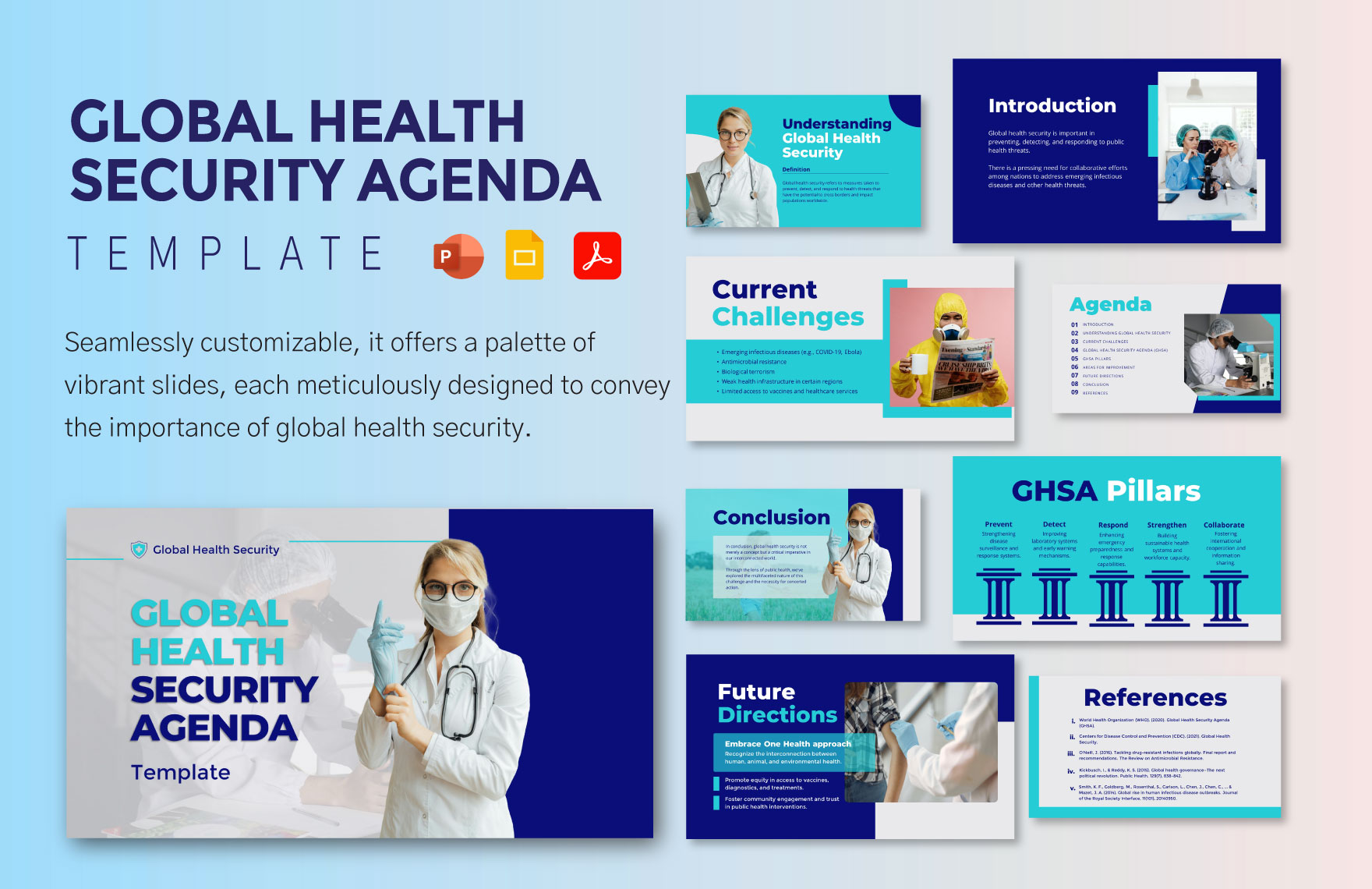Global Health Security Agenda Template