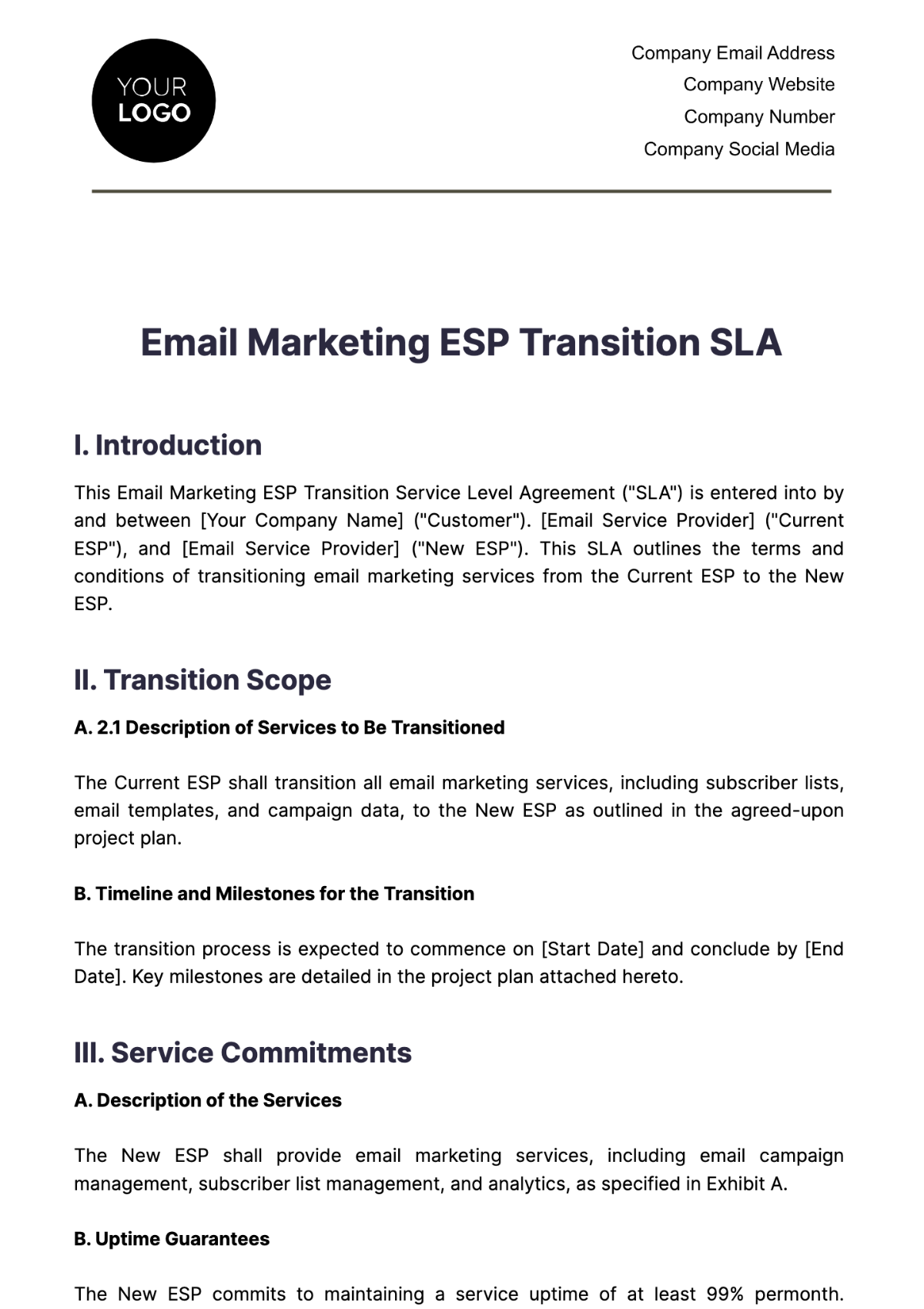 Email Marketing ESP Transition SLA Template