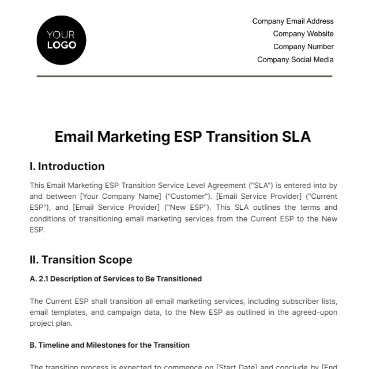 Email Marketing ESP Transition SLA Template