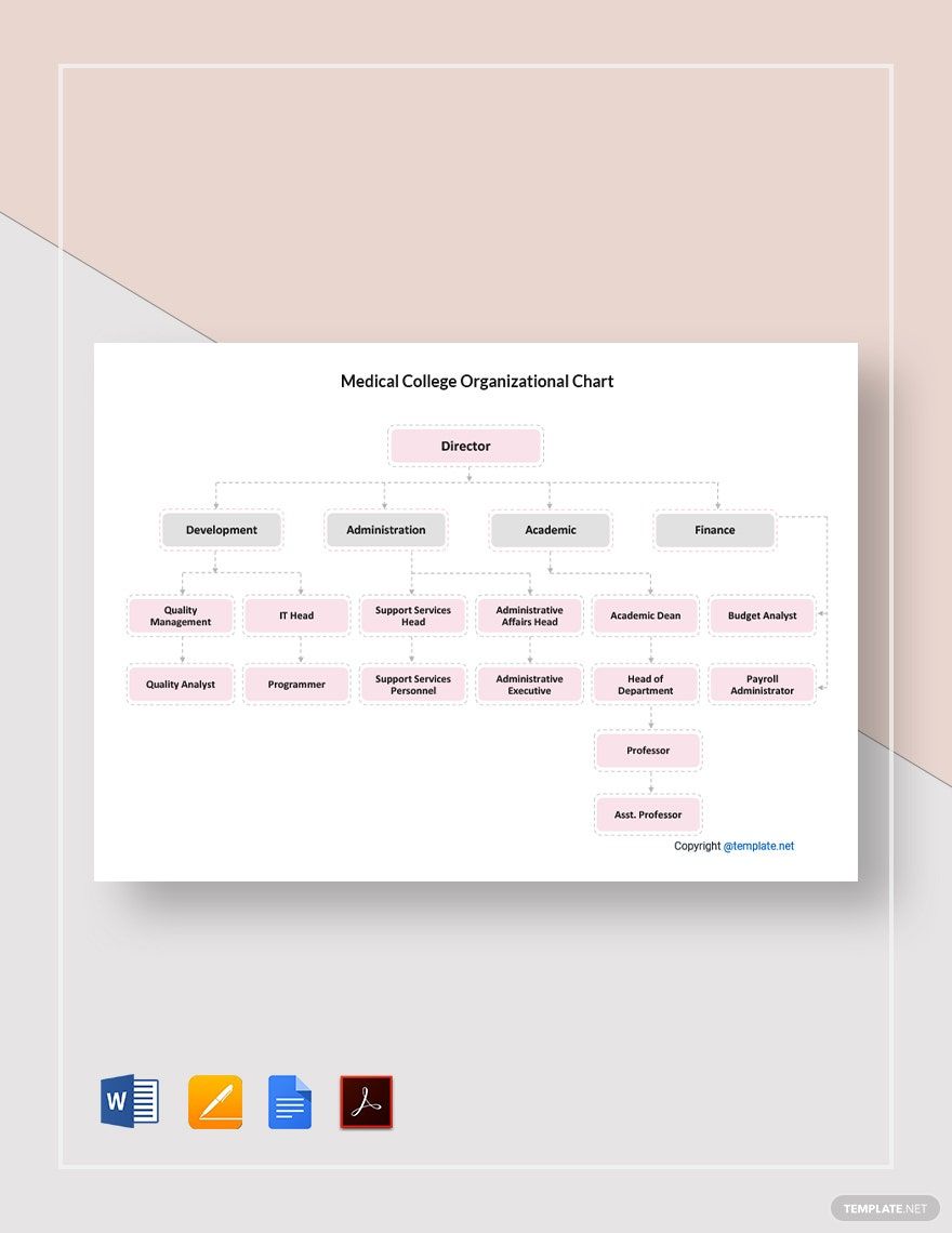 Medical College Organizational Chart Template