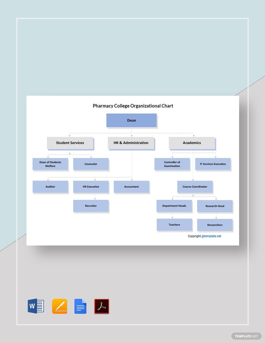 Free Pharmacy College Organizational Chart Template in Word, Google Docs, PDF, Apple Pages