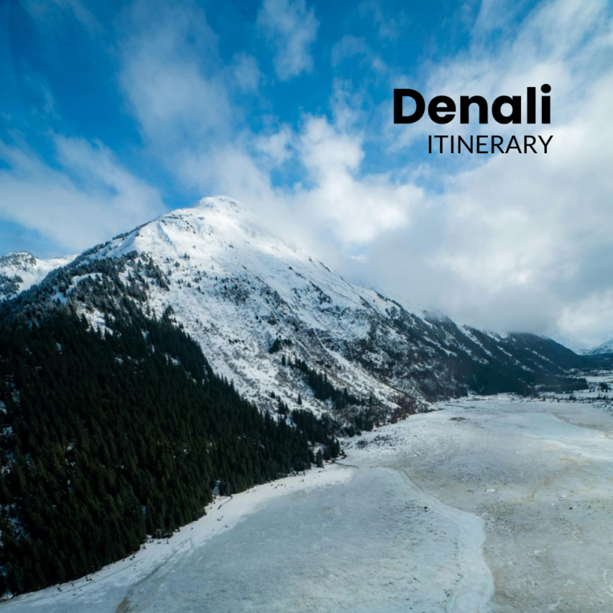 Denali Itinerary Template - Edit Online & Download