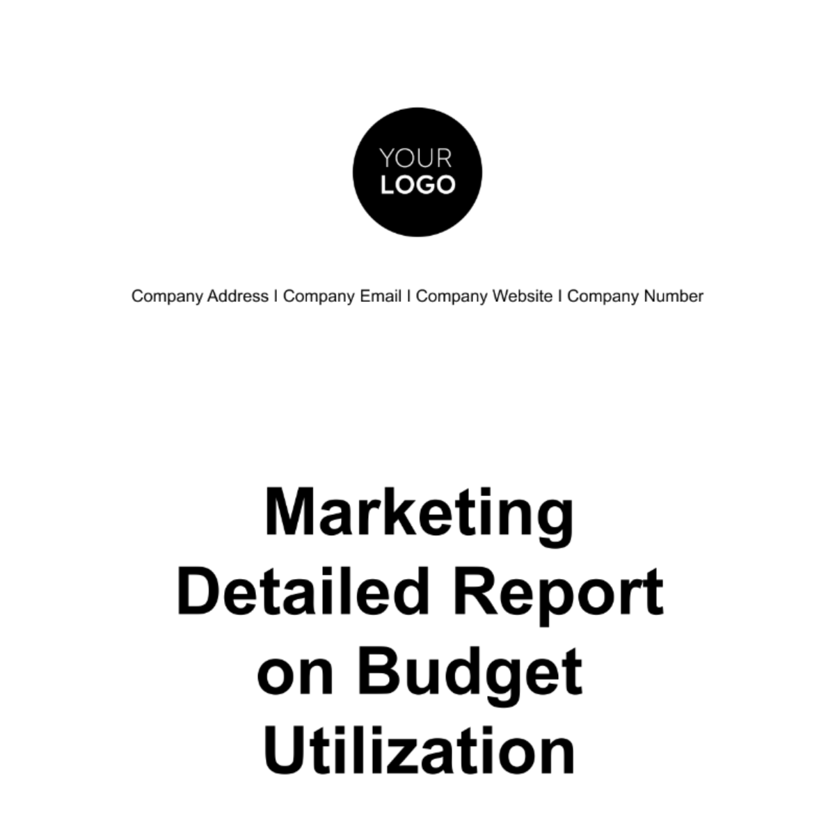 Marketing Detailed Report on Budget Utilization Template