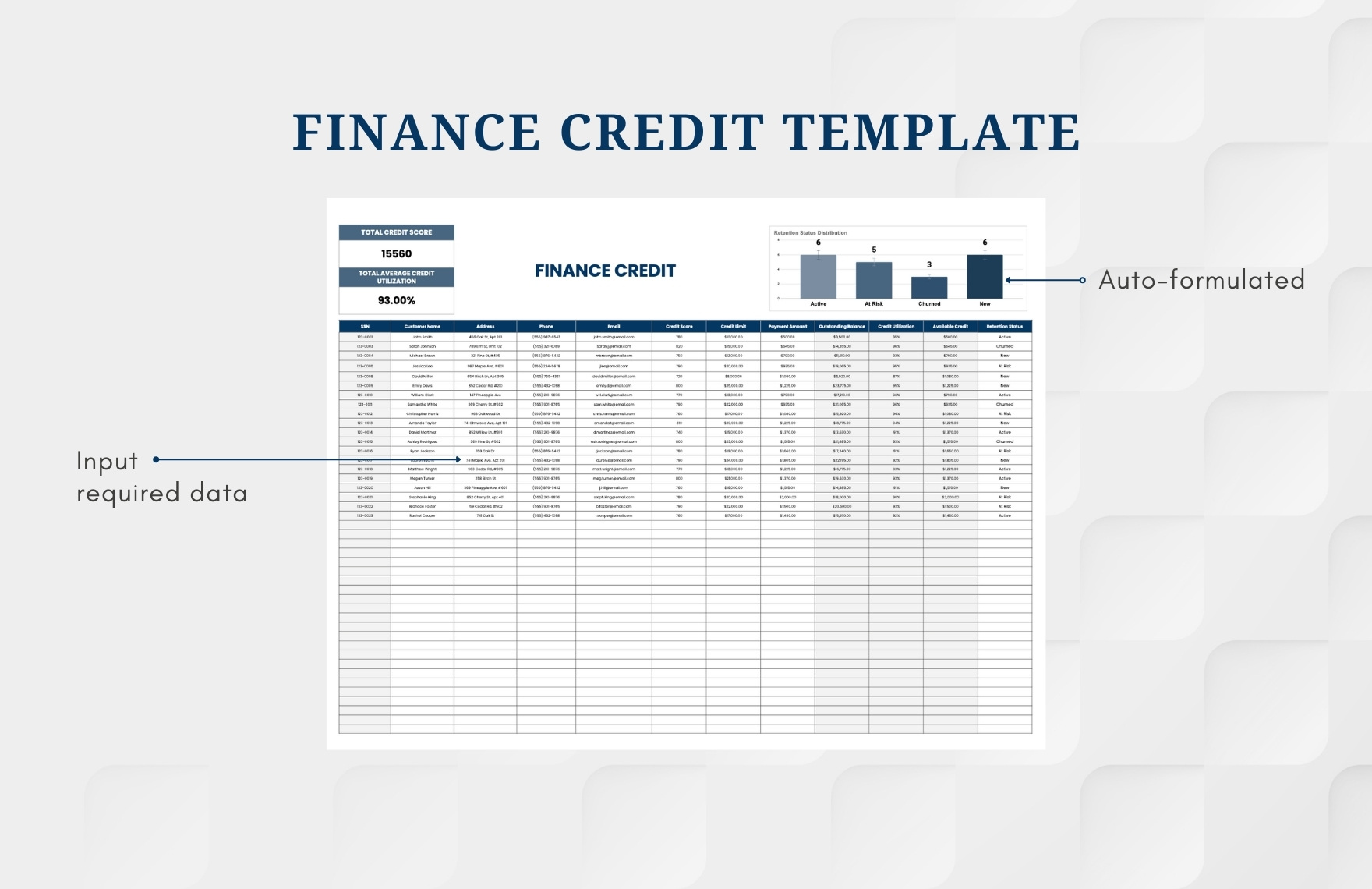 Finance Credit Template