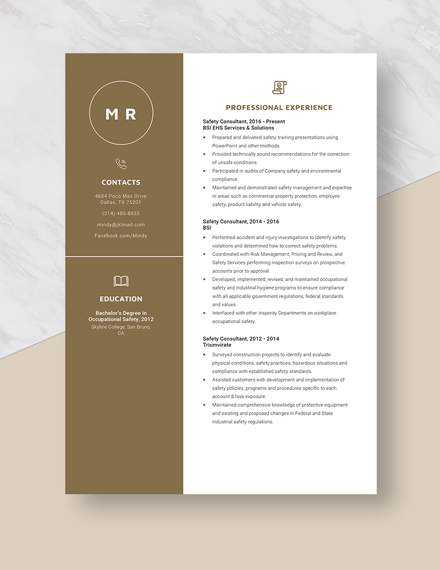 Safety Consultant Resume Template