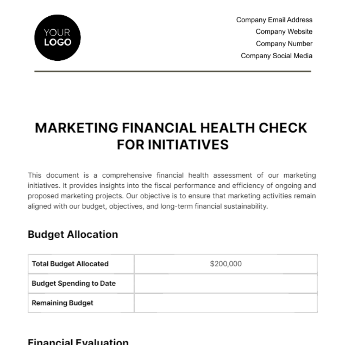 Marketing Financial Health Check for Initiatives Template