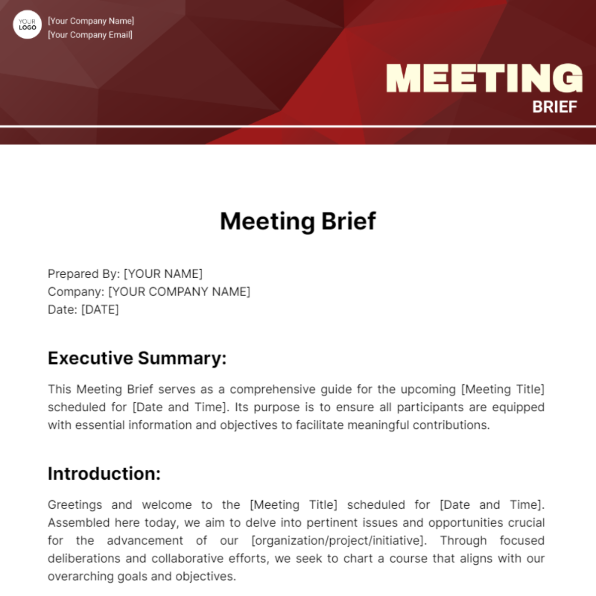 Meeting Brief Template