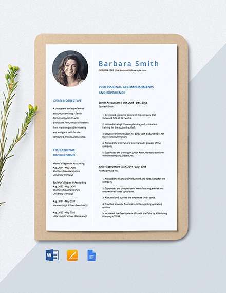 Senior Accountant Resume Template - Google Docs, Word, Apple Pages