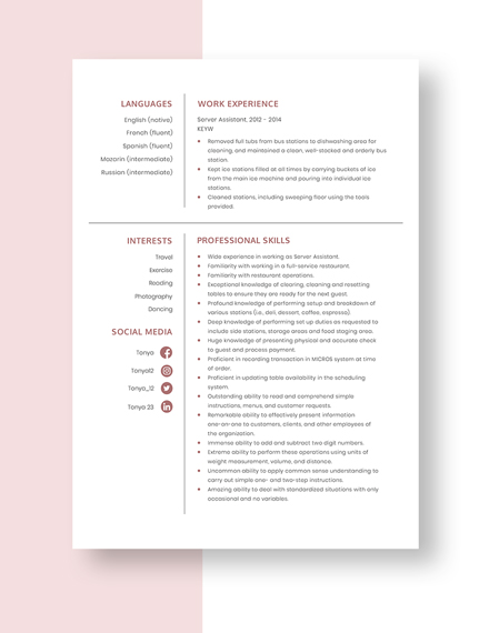 Server Assistant Resume Template