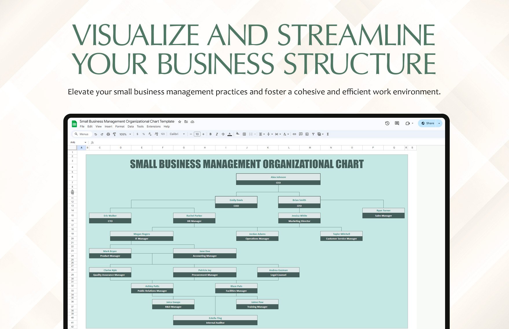Small Business Management Organizational Chart Template