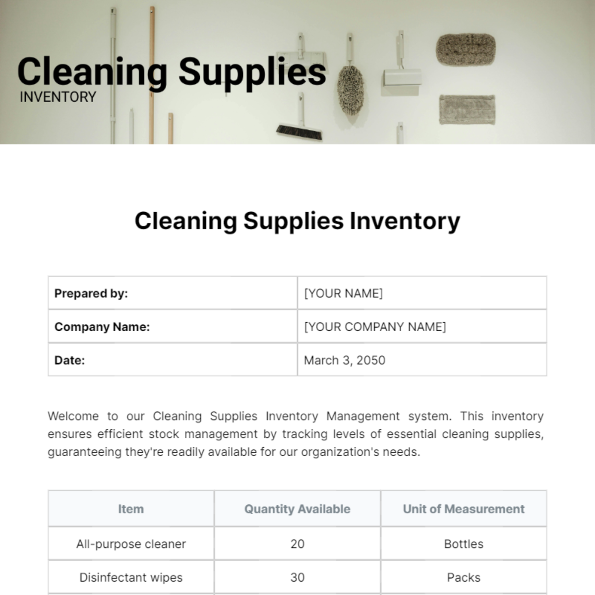 Free Cleaning Supplies Inventory Template
