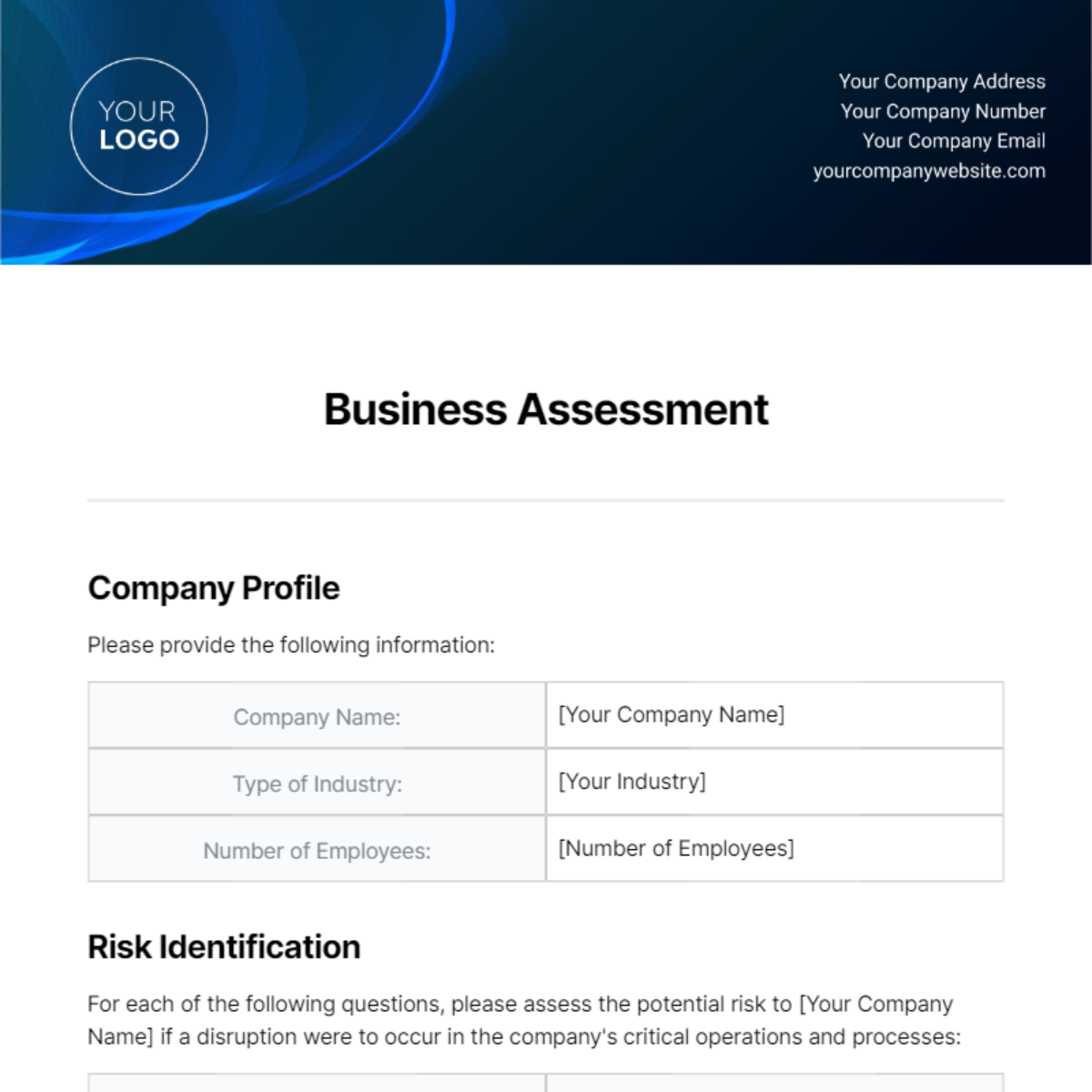 Business Assessment Template - Edit Online & Download