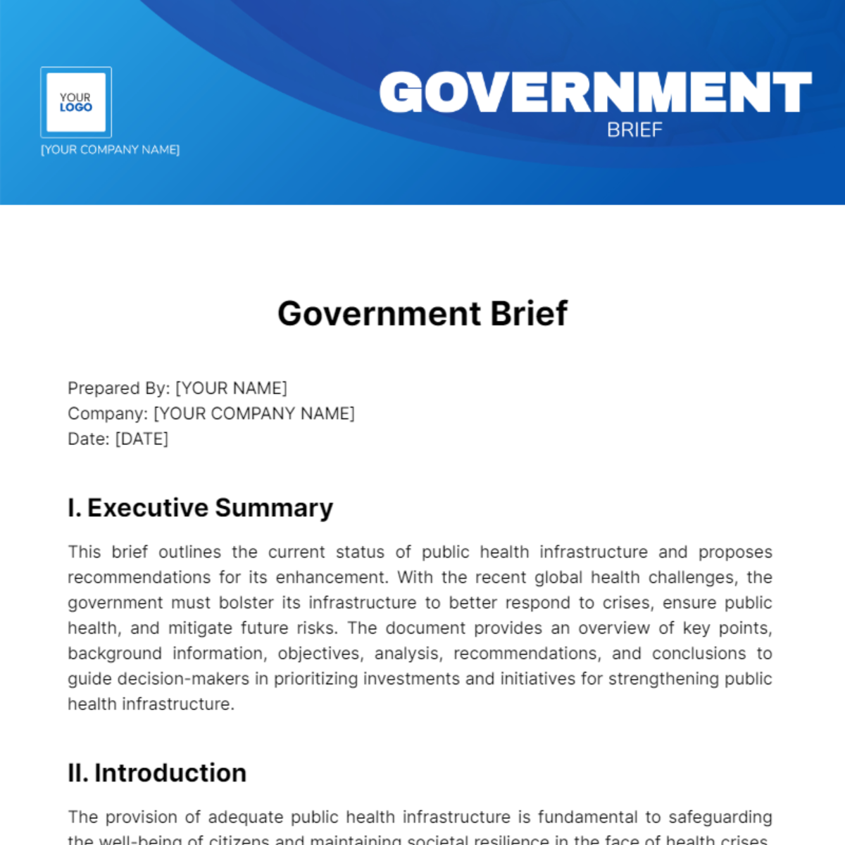 Government Brief Template