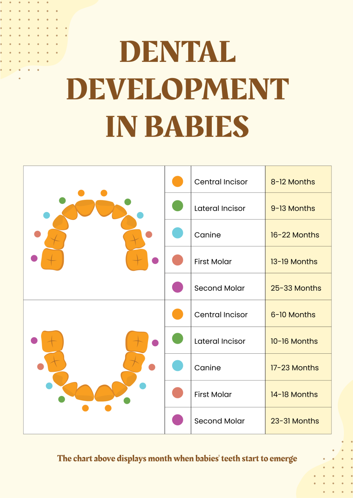 Dental Development Chart Template