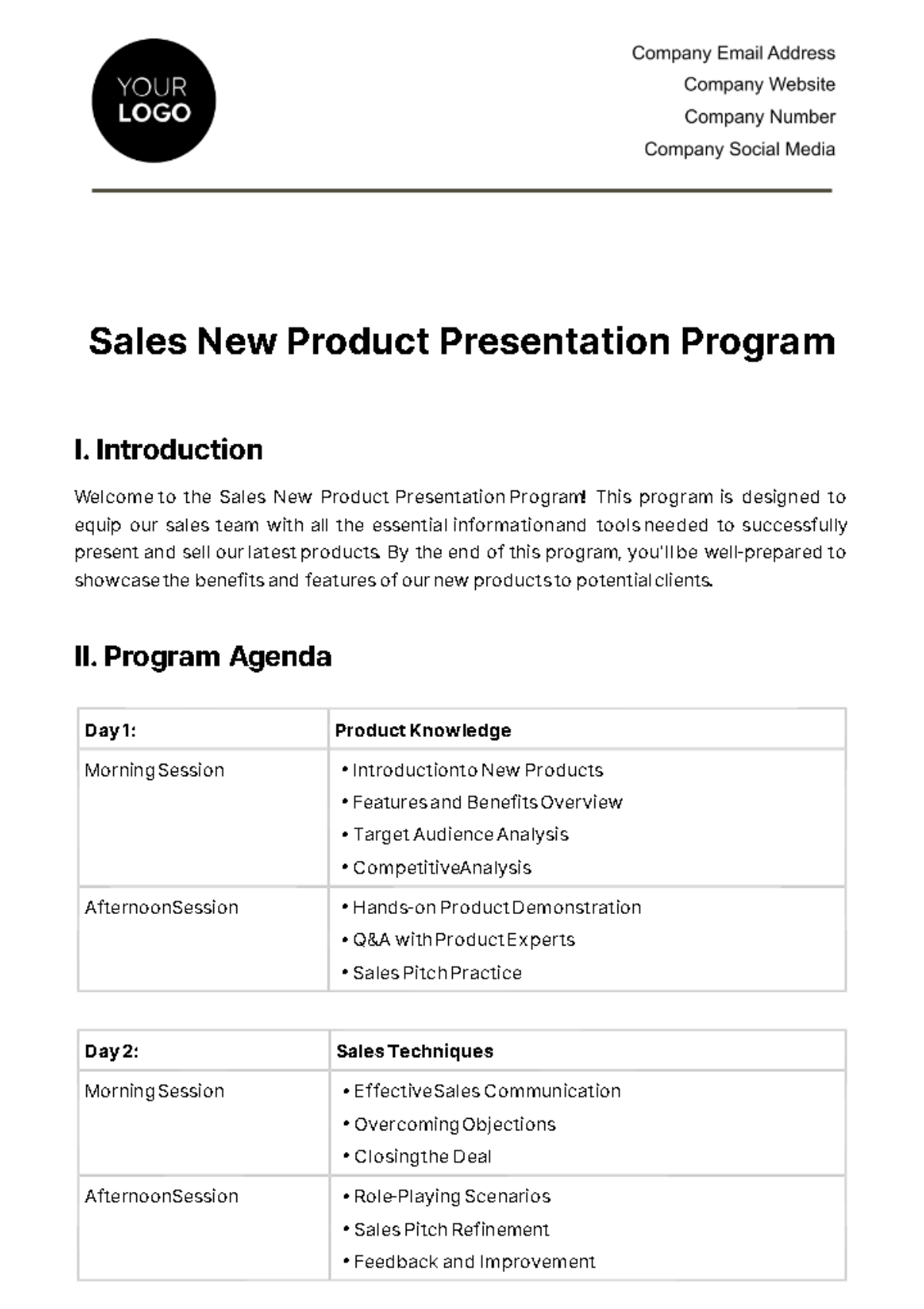 Sales New Product Presentation Program Template