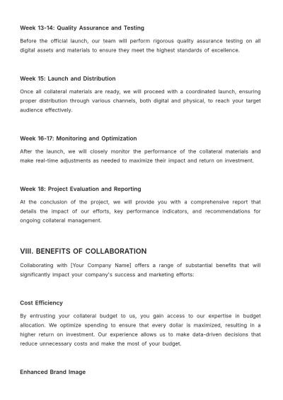 Free Sales Proposal for Collateral Budget Template to Edit Online