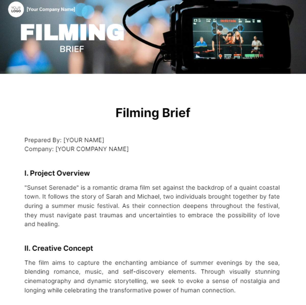 Filming Brief Template