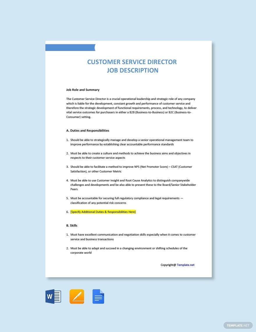 Customer Service Director Job Description Template