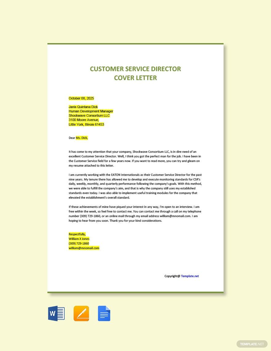 Customer Service Director Cover Letter Template