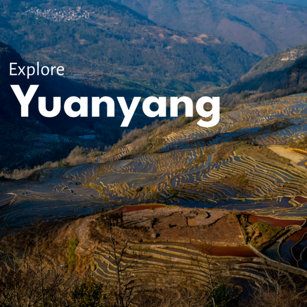 Yuanyang Itinerary Template - Edit Online & Download