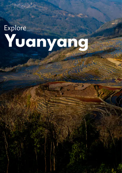 Free Yuanyang Itinerary Template to Edit Online