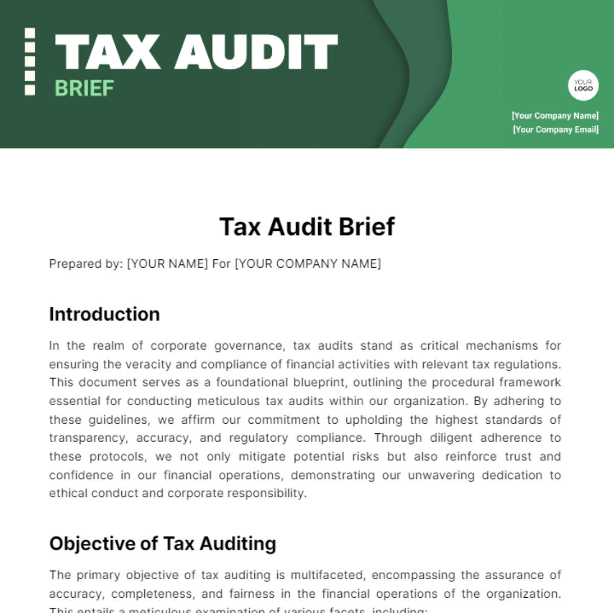 Tax Audit Brief Template - Edit Online & Download