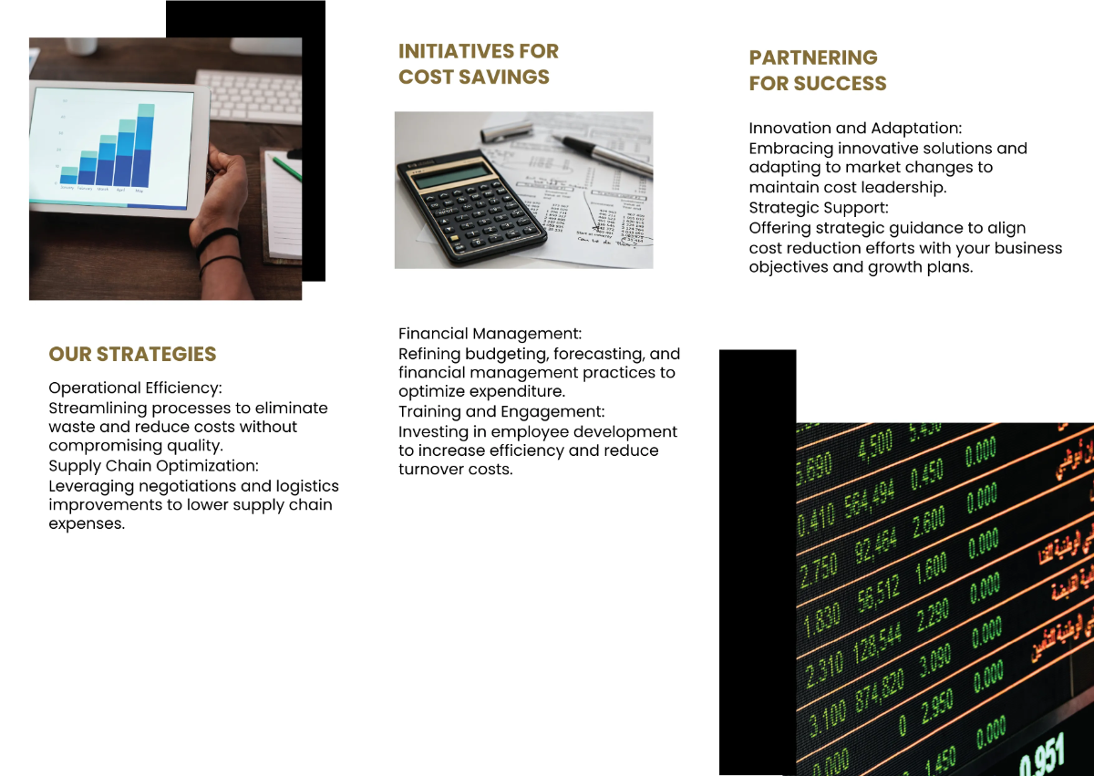 Free Cost Reduction Strategies and Initiatives Pamphlet Template to Edit Online