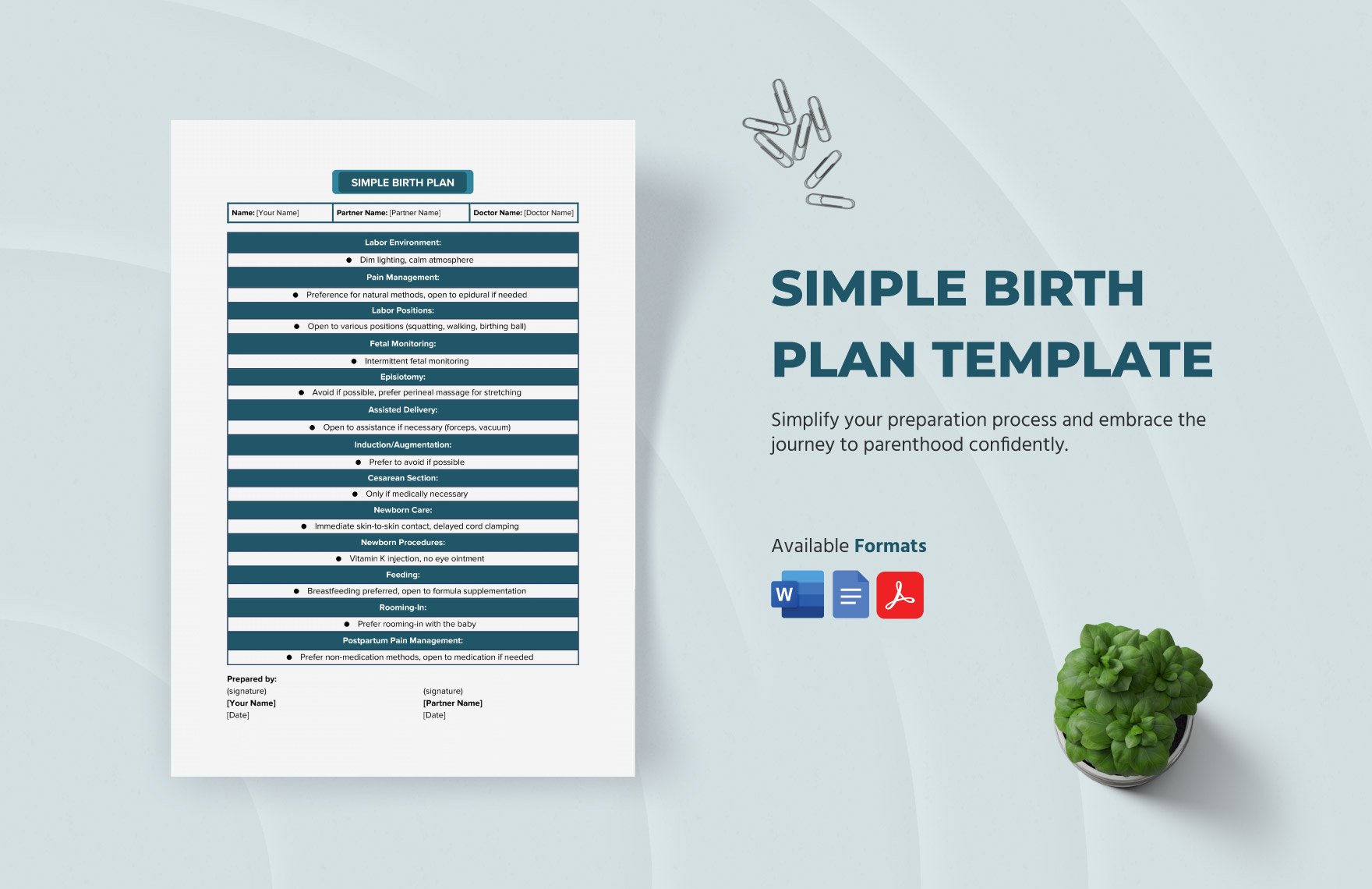 Simple Birth Plan Template in Word, Google Docs, PDF